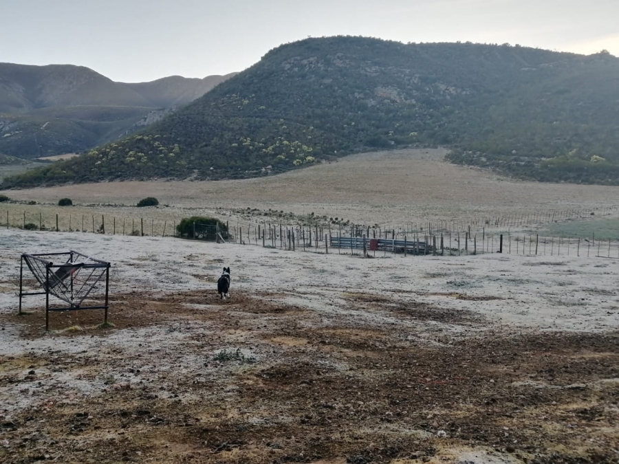 3 Bedroom Property for Sale in Joubertina Eastern Cape